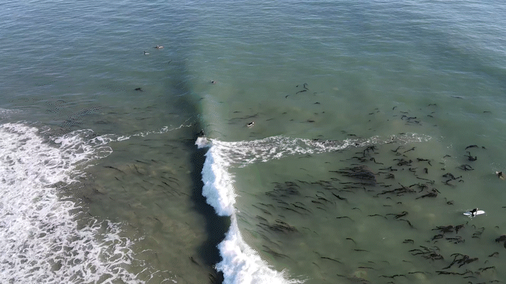 2021_12_26_16_08_50_179_15