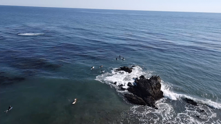 2021_12_26_16_08_50_179_16